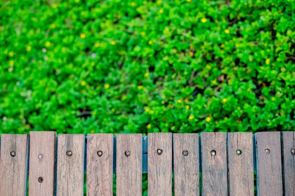 ahşap duvar arkasında ağaç arka plan