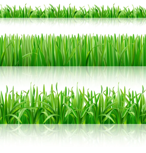 The strip of green grass. Stock Vector Image by ©titanida1 118994346
