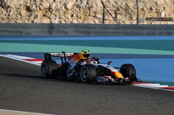 F1Testing GP F12026 20 Şubat 'ta Manama, Bahreyn' de Formula 1 'de yarışçı Bulls sürücüsü Liam Lawson