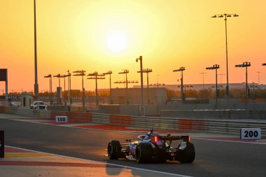 F1Testing GP F12026, 20 Şubat, Manama, Bahreyn - Formula 1 Pierre Gasly Alp sürücüsü