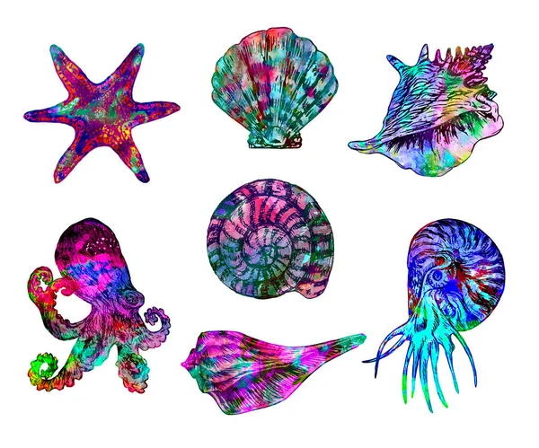 章鱼和金丝雀采集孤立的图解 手绘彩色抽象水彩画 — 图库照片