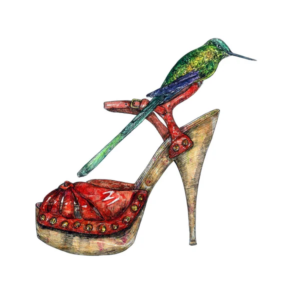 Sapatos Calcanhar Couro Vermelho Com Beija Flor Verde Sentado Nele — Fotografia de Stock