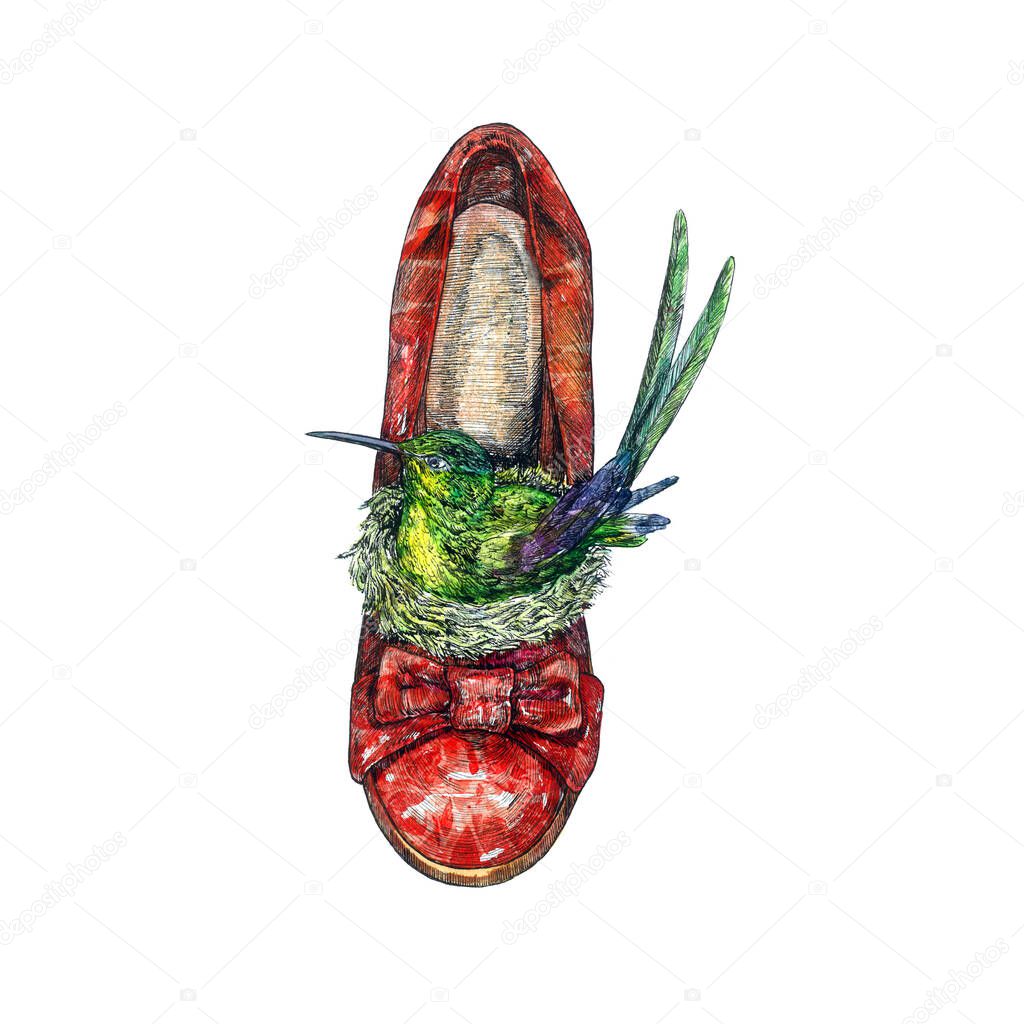 Red leather heel shoes front view with green hummingbird sitting in nest inside, hand painted watercolor with ink drawing illustration