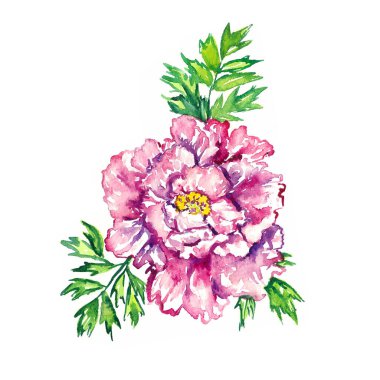 Yeşil yapraklı yumuşak pembe-mor şakayık çiçeği, izole edilmiş el boyası suluboya illüstrasyon unsuru davetiye, kart, baskı, posterler, desenler için.