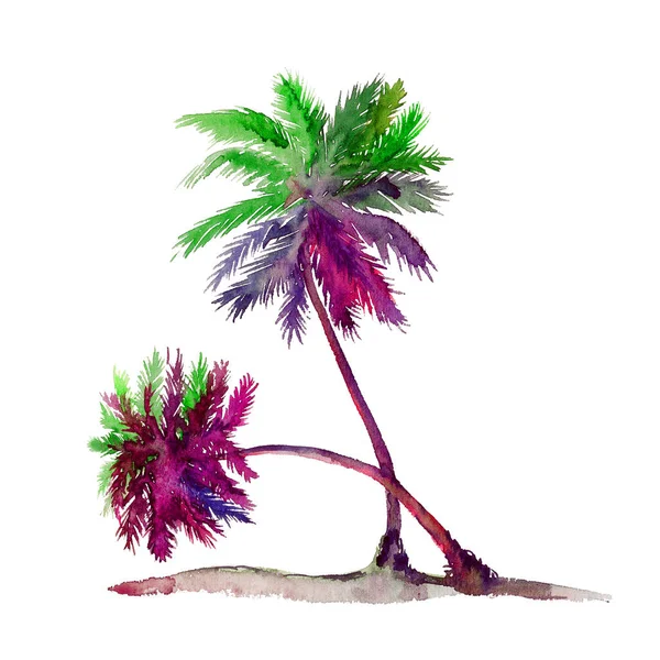 Isolated White Colorful Couple Palms Watercolor Painting Illustration Design Element — Stock Photo, Image