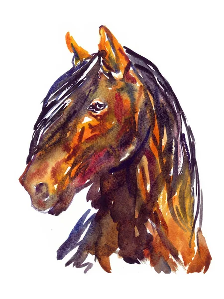 Isolated White Horse Portrait Watercolor Hand Painted Illustration — Stock Photo, Image