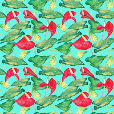 Anthurium (kuyruk çiçeği, flamingo çiçeği, laceleaf) kırmızı çiçekler ve parlak yeşil yapraklar, elle boyanmış suluboya illüstrasyon, yumuşak mavi arka planda pürüzsüz desen tasarımı