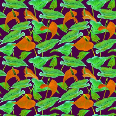 Anthurium (kuyruk çiçeği, flamingo çiçeği, laceleaf) kırmızı çiçekler ve parlak yeşil yapraklar, elle boyanmış suluboya illüstrasyon, koyu mor arka planda pürüzsüz desen tasarımı