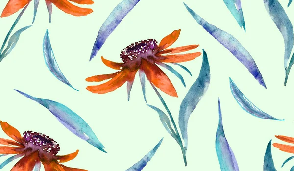 Echinacea Κόκκινα Λουλούδια Και Φύλλα Ζωγραφισμένα Στο Χέρι Ακουαρέλα Εικονογράφηση — Φωτογραφία Αρχείου
