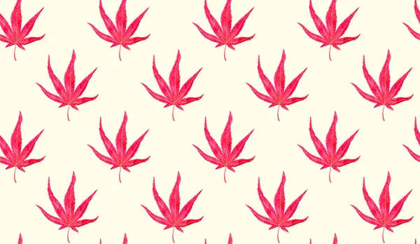 Giapponese Acero Forma Marijuana Foglie Rosse Dipinto Mano Acquerello Illustrazione — Foto Stock