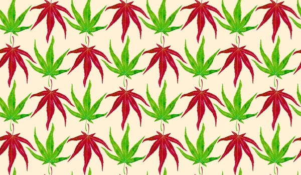 Japon Akçaağacı Marihuana Şekli Kırmızı Yeşil Yapraklar Elle Boyanmış Suluboya — Stok fotoğraf