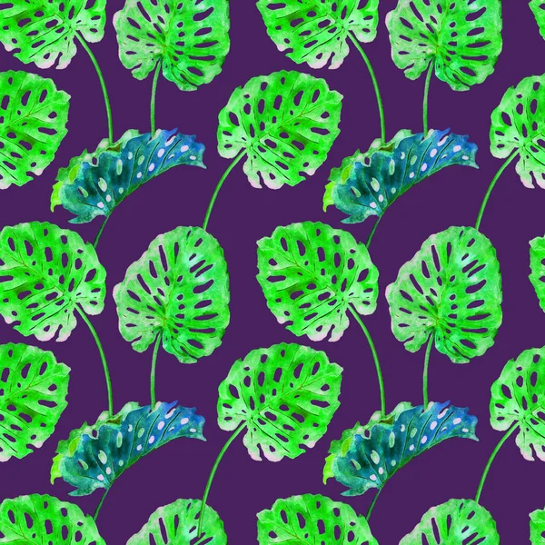 Split philodendron leaves, hand painted watercolor illustration,  seamless pattern design on dark purple background