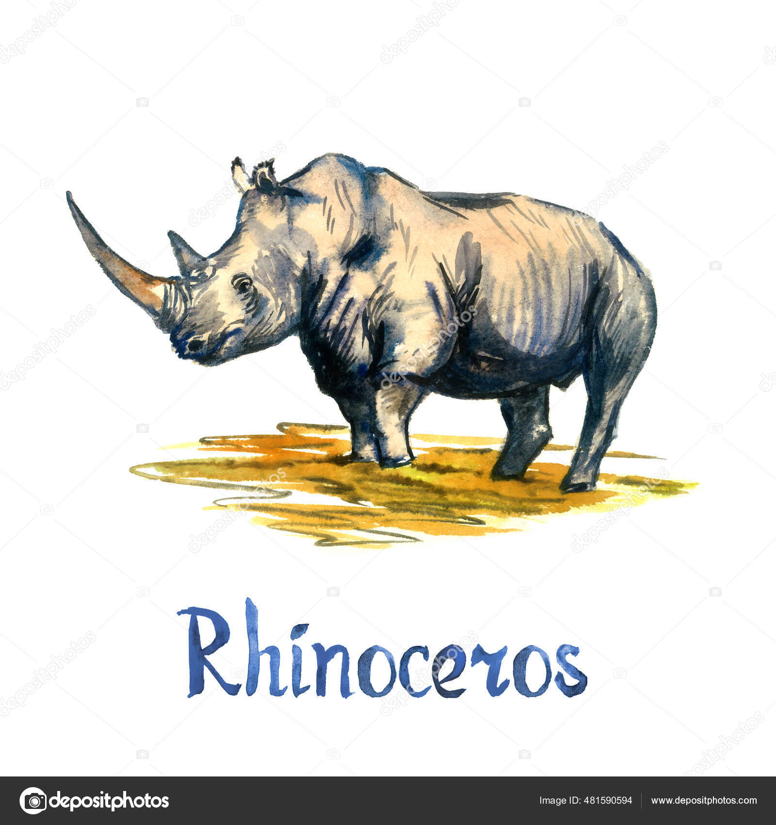 サイドビューに立つサイ 白に隔離された手描きの水彩イラスト デザインのための要素 ストック写真 C Psartdesignstudio