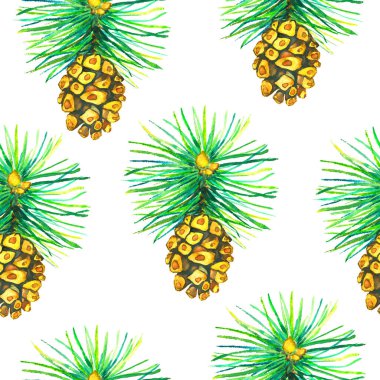 Uzun kozalaklı çam dalları, elle boyanmış suluboya çizimler, beyaz arka planda pürüzsüz desenler.