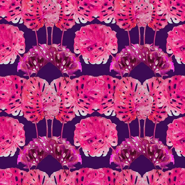 Gespaltene Philodendron Rosa Blätter Handgemalte Aquarell Illustration Nahtlose Mustergestaltung Auf — Stockfoto