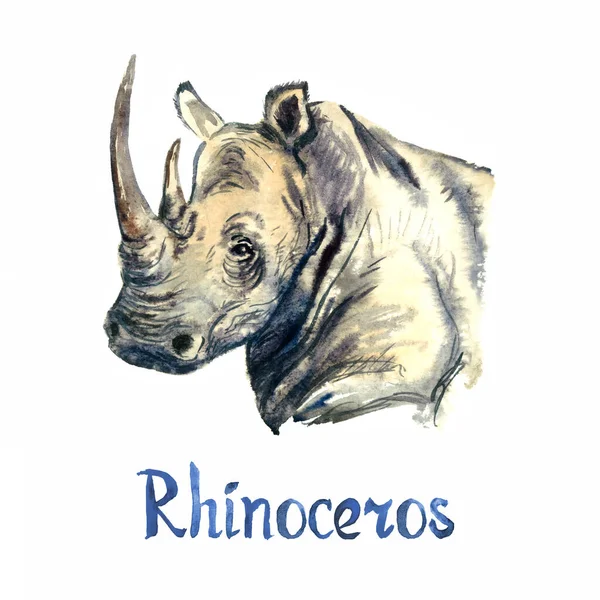 Rhinoceros Portrait Handpainted Watercolor Illustration Isolated White Element Design — 图库照片