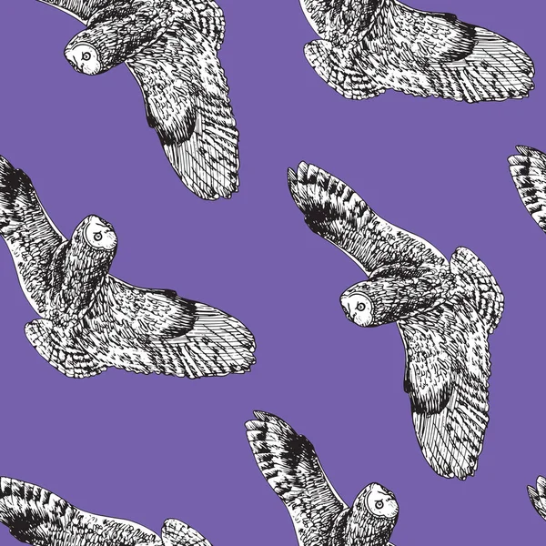 Uil Vliegen Met Hand Getekend Doodle Schets Pop Art Stijl — Stockfoto