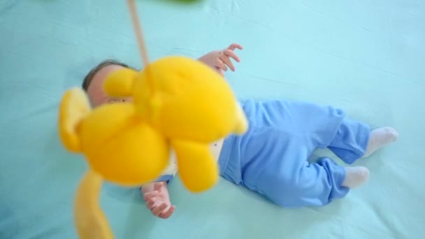 Newborn Looking At Colorful Baby Toy — Stock Video