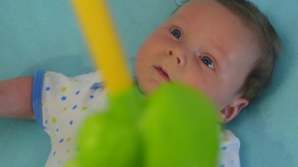 Новорожденный смотрит на красочную игрушку — стоковое видео