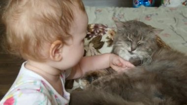 Şirin Bebek kız ile kedi