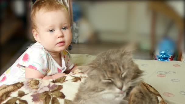 Cute Baby Girl With Cat — Stock Video