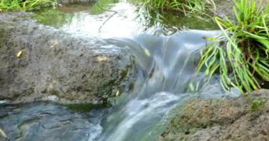 Hızlı akan nehir su 4k içinde taş olan