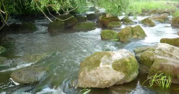 Snabbt flödande floden med stenar i vattnet 4k — Stockvideo