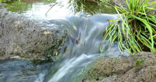 Fiume che scorre veloce con pietre in acqua 4k — Video Stock