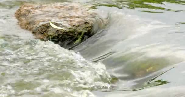 Швидкий тече річка з каменів у воді 4 к — стокове відео