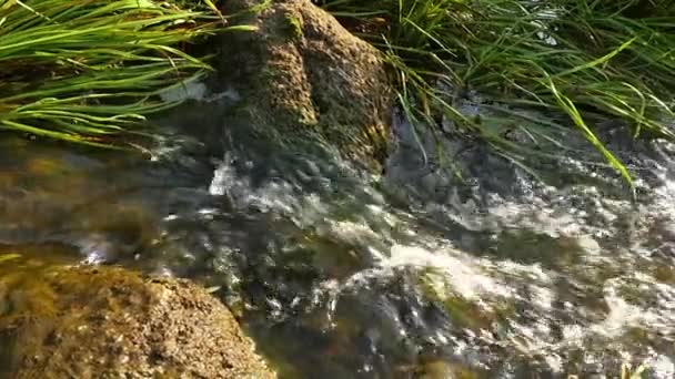 Быстро текущая река с камнями в медленном движении воды — стоковое видео