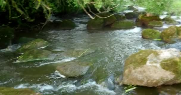 Río que fluye rápido con piedras en el agua 4k — Vídeos de Stock