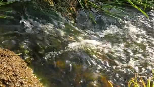 Быстро текущая река с камнями в медленном движении воды — стоковое видео
