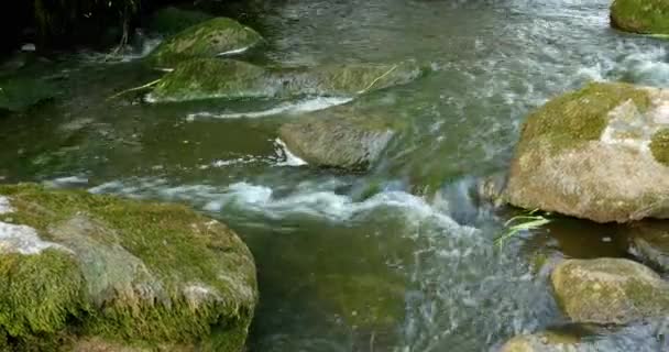 Швидкий тече річка з каменів у воді 4 к — стокове відео