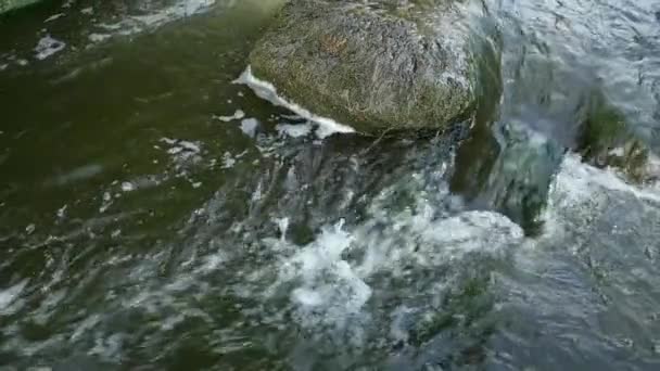 Быстро текущая река с камнями в медленном движении воды — стоковое видео