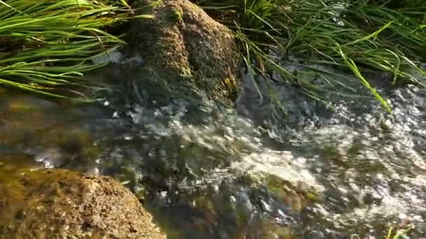 Быстро текущая река с камнями в медленном движении воды — стоковое видео