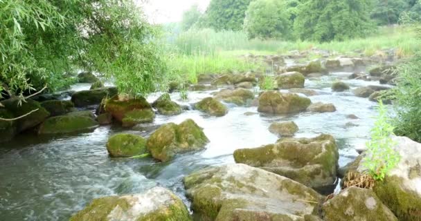 Быстрая река с камнями в воде 4k — стоковое видео