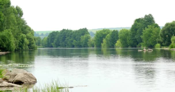 Paisaje con el río y la madera 4k — Vídeos de Stock