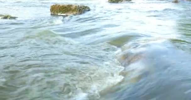 Пейзаж реки с камнями и растениями 4k — стоковое видео
