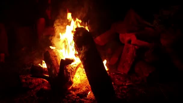真夜中の焚き火やキャンプファイヤー スローモーション — ストック動画