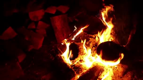 Midnight Bonfire Or Campfire Slow Motion — Stock Video