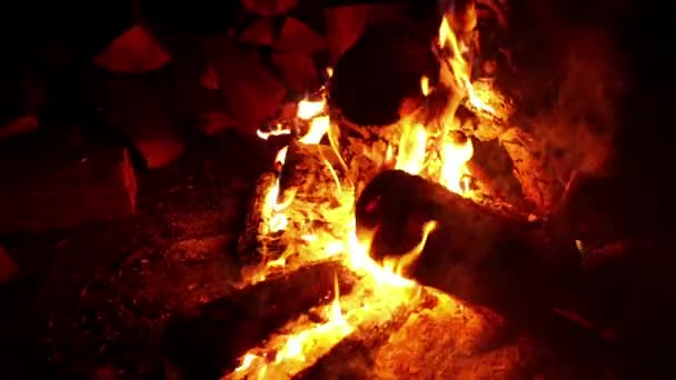 Vreugdevuur van middernacht of kampvuur Slowmotion — Stockvideo