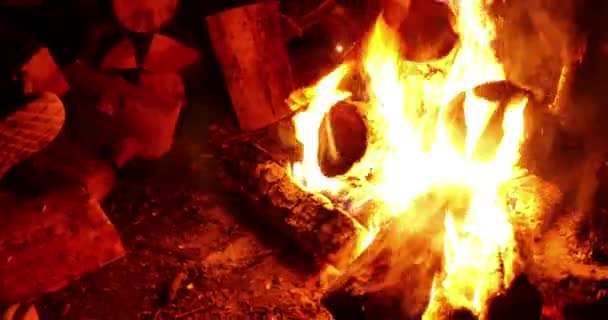 Feu de minuit ou feu de camp 4k — Video