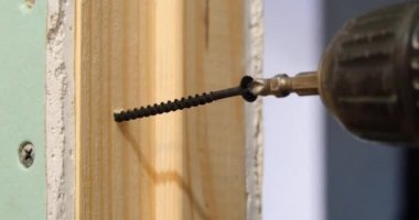 Tornavida ve vida 4k 1