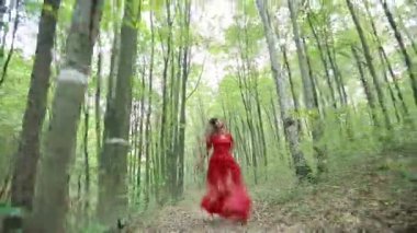 Güzel peri masalı kız ormanda çalışan