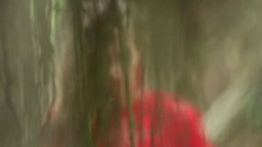 Ormanda güzel perisi