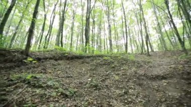 Ormanda kaybolmadın fantezi kadın