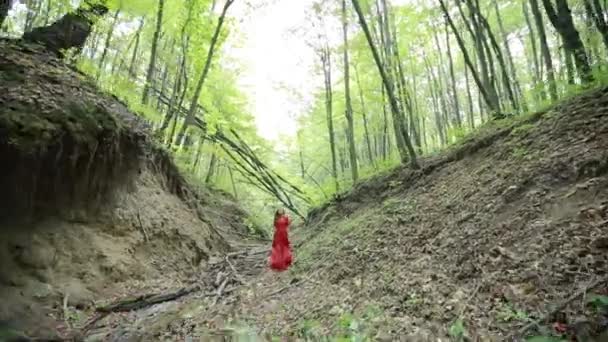 Fille perdue dans la forêt — Video