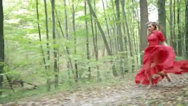Meisje die In zomer bos loopt — Stockvideo
