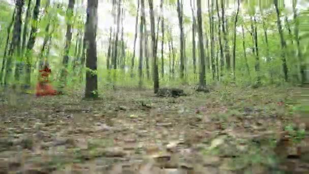 Romantische stijlvolle meisje In het bos — Stockvideo