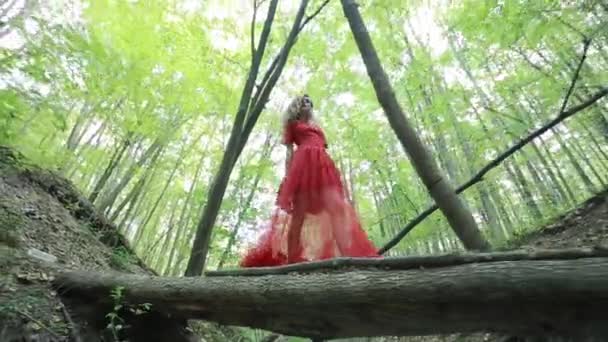 Mujer caminando en un bosque misterioso — Vídeos de Stock